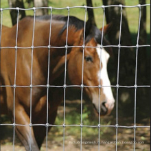 Clôture de prairie galvanisée à cheval avec bas prix